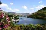 Douro Valley Small-Group Tour with Wine Tasting, Lunch and Optional Cruise.