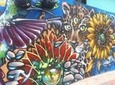 Full Day Private Medellín City, Street Art and Food Tour