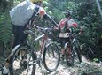 Full-Day Advanced XC Downhill Biking at Doi Suthep National Park Chiang Mai
