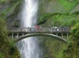 Afternoon Half-Day Multnomah Falls and Columbia River Gorge Waterfalls Tour from Portland