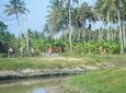 Half-Day Penang Countryside Cycling Tour