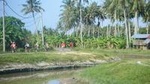 Half-Day Penang Countryside Cycling Tour