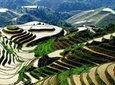 Longji Rice Terraces and Minority Village Day Tour