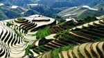 Longji Rice Terraces and Minority Village Day Tour