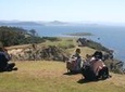 Maria Island Active Day Trip from Hobart