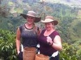 Medellin City and Coffee Region Tour