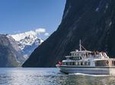 Milford Sound Scenic Cruise
