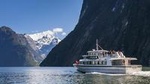 Milford Sound Scenic Cruise