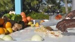 Conch Salad Cooking Lesson and Tasting in Nassau