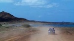 Island Adventure with Shark Experience from Santa Maria