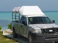 Providenciales Sunset Safari Tour