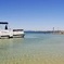 Ilha Deserta and Farol Island: a small group boat trip in Ria Formosa from Faro