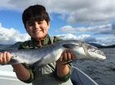 Salmon and Halibut Fishing in Ketchikan Alaska