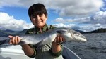 Salmon and Halibut Fishing in Ketchikan Alaska