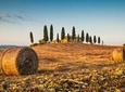Private Chianti Tuscany Wine Tasting Tour from Florence