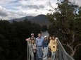 Tahune Airwalk Active Day Trip from Hobart Including Hastings Caves