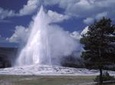 Yellowstone Lower Loop Full-Day Tour