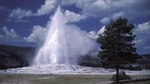 Yellowstone Lower Loop Full-Day Tour