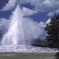 Yellowstone Lower Loop Full-Day Tour