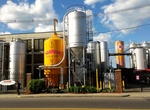 Drink Beer at Harpoon Brewery (Boston), Mass