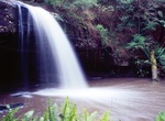 Walk behind Lower Kalimna Falls, Great Otway National Park, Victoria