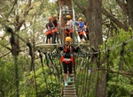 Do Illawarra Fly Treetop Walk & Zipline, NSW, Australia