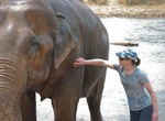 Visit Elephant Nature Park, Chiang Mai, Thailand