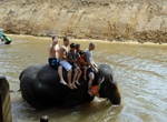 Visit Kuala Gandah Elephant Orphanage Sanctuary, Pahang, Malaysia
