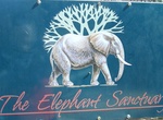 Visit Hazyview Elephant Sanctuary, South Africa