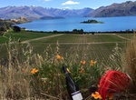 Wine Taste at Rippon Vineyard, Wanaka, New Zealand