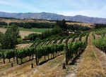 Wine Taste at Maude Wines, Wanaka, New Zealand