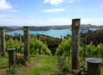 Wine Tasting on Waiheke Island, New Zealand
