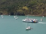 Ride Ferry to  Waiheke Island, New Zealand