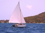 Attend BVI Wooden Boat Regatta, Jost Von Dyke, BVI