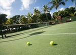Attend Necker Cup, Necker Island, BVI