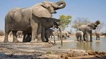2-Day Amboseli National Park Safari from Nairobi - free airport pick up
