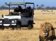 2-Day Camping Safari in Chobe National Park from Victoria Falls