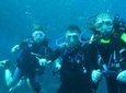Two Tanks Scuba Diving Tour at Catalina Islands & North Island - CR