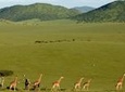 3-Day Maasai Mara Safari from Mombasa