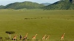3-Day Maasai Mara Safari from Mombasa