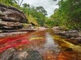 3-Day Trip to Caño Cristales from Bogotá