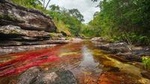 3-Day Trip to Caño Cristales from Bogotá