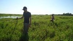 5-Day Bolivian Amazon Pampas Adventure from La Paz