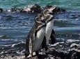 6-Day All Inclusive Galapagos Island Hopping