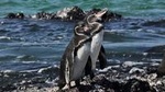 6-Day All Inclusive Galapagos Island Hopping