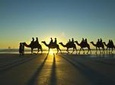 Afternoon Broome Town Tour Including Cable Beach and Matso Beer Tasting