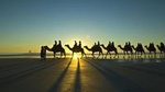 Afternoon Broome Town Tour Including Cable Beach and Matso Beer Tasting