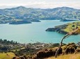 Akaroa Self Guided Audio Tour