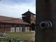 Private Auschwitz-Birkenau and Krakow Tour