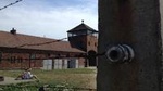 Private Auschwitz-Birkenau and Krakow Tour